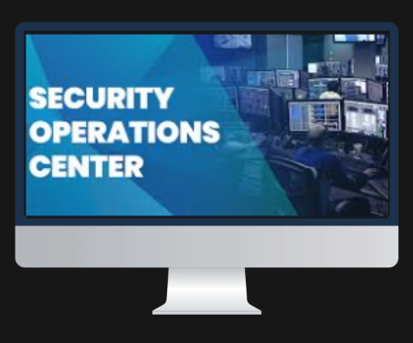 Cyber Security Icon